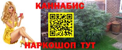 спайс Будённовск